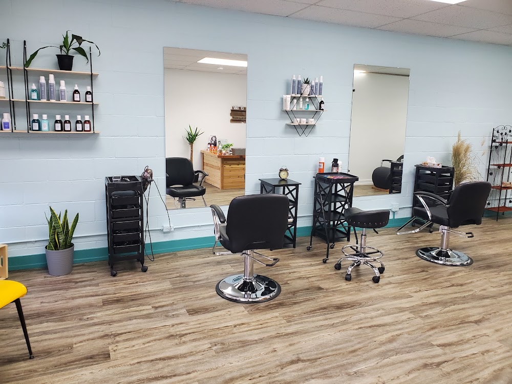 The Shear Lounge Hair Designs