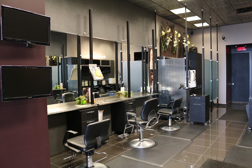 Coiffure Hypnotic Elle Et Lui