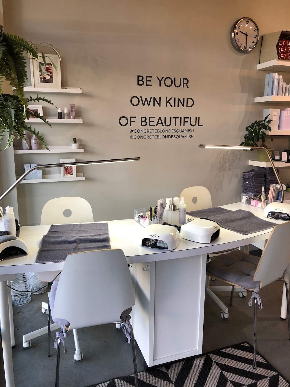 Concrete Blonde Studio