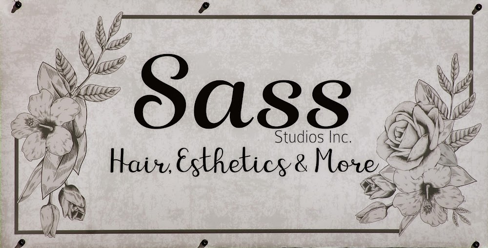 SASS STUDIO'S INC