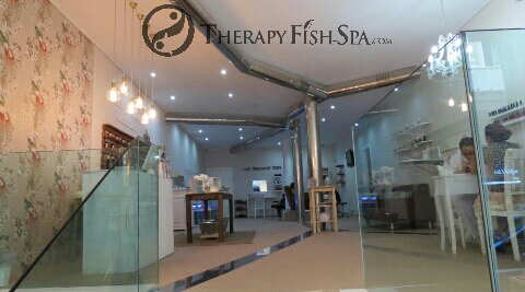 Therapyfish- Spa Oviedo